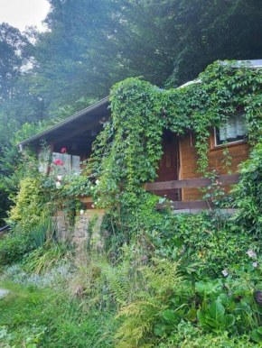 Romantische Gartenlaube mit Blick auf die Elbe